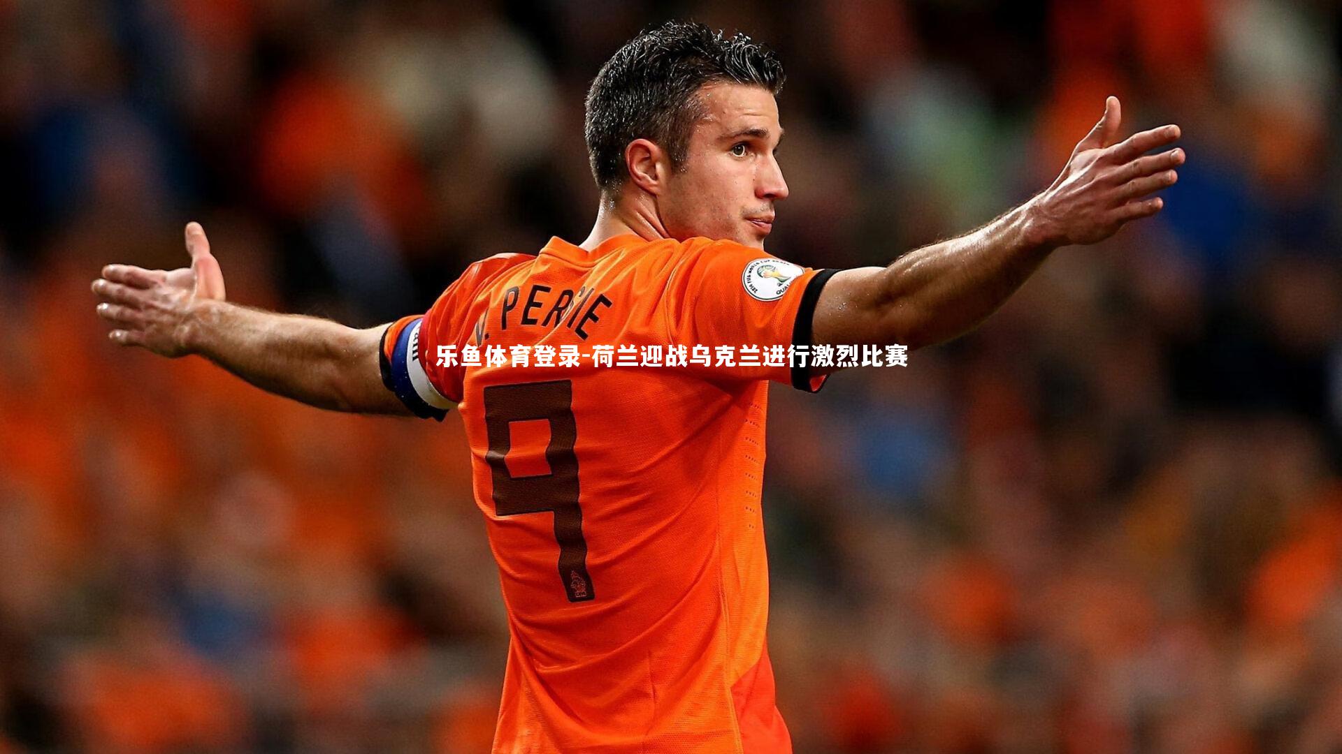荷兰迎战乌克兰进行激烈比赛