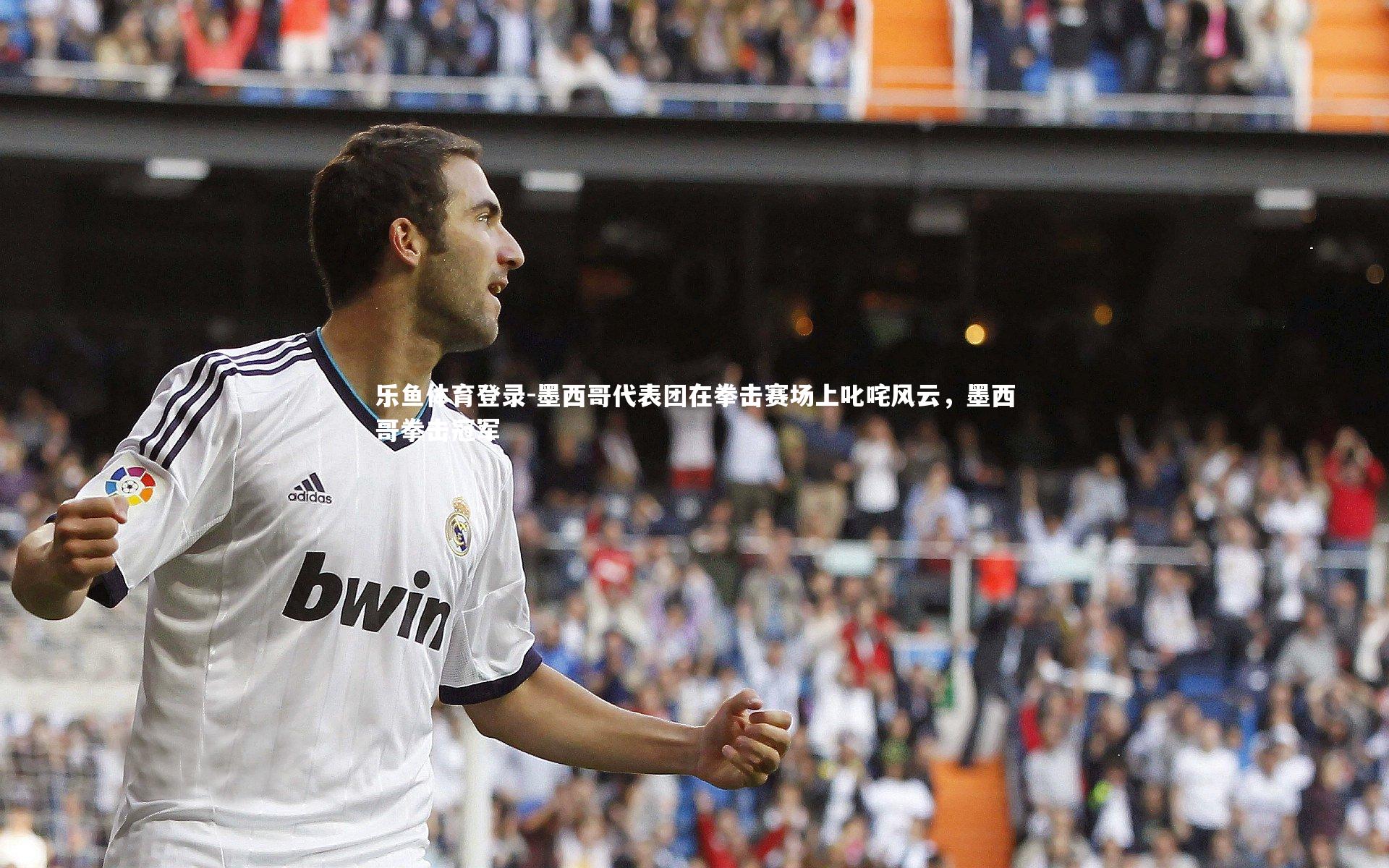 墨西哥代表团在拳击赛场上叱咤风云,墨西哥拳击冠军