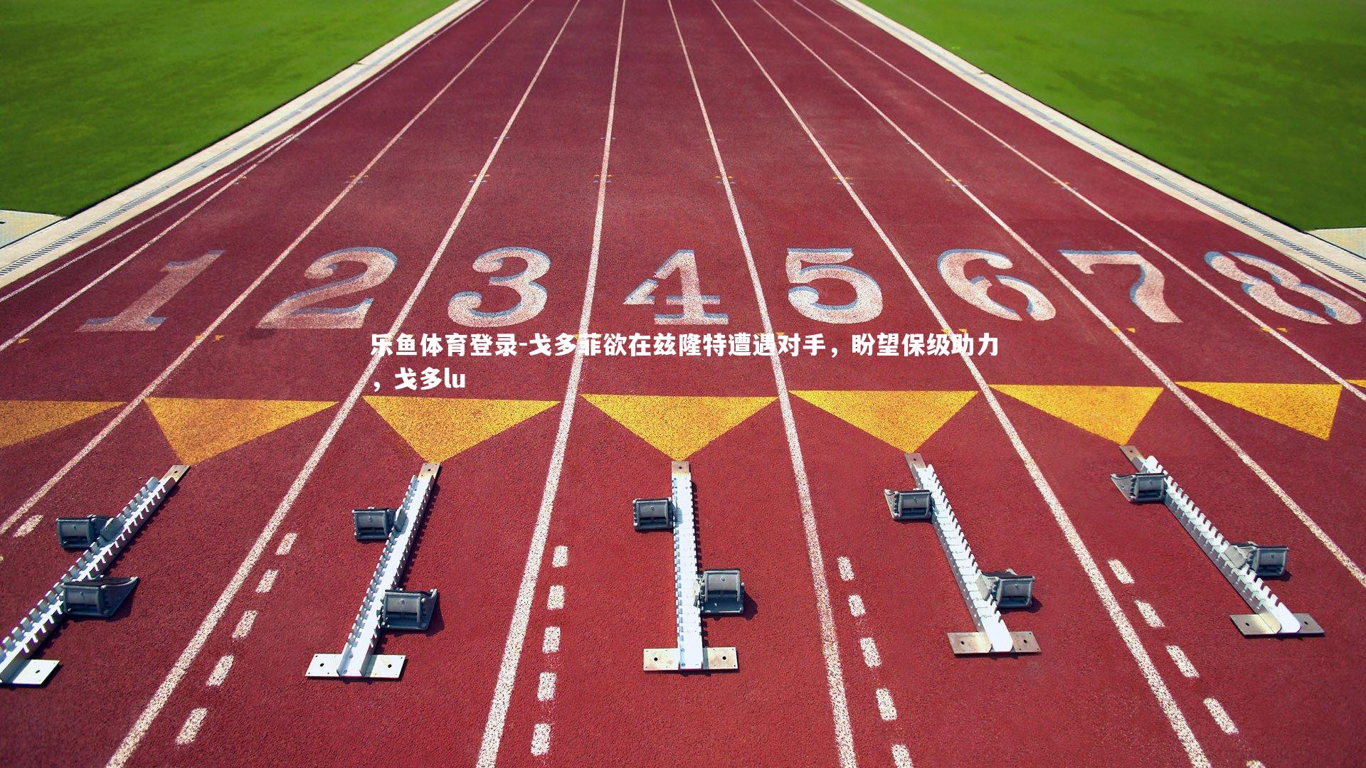 乐鱼体育登录-戈多菲欲在兹隆特遭遇对手，盼望保级助力，戈多lu