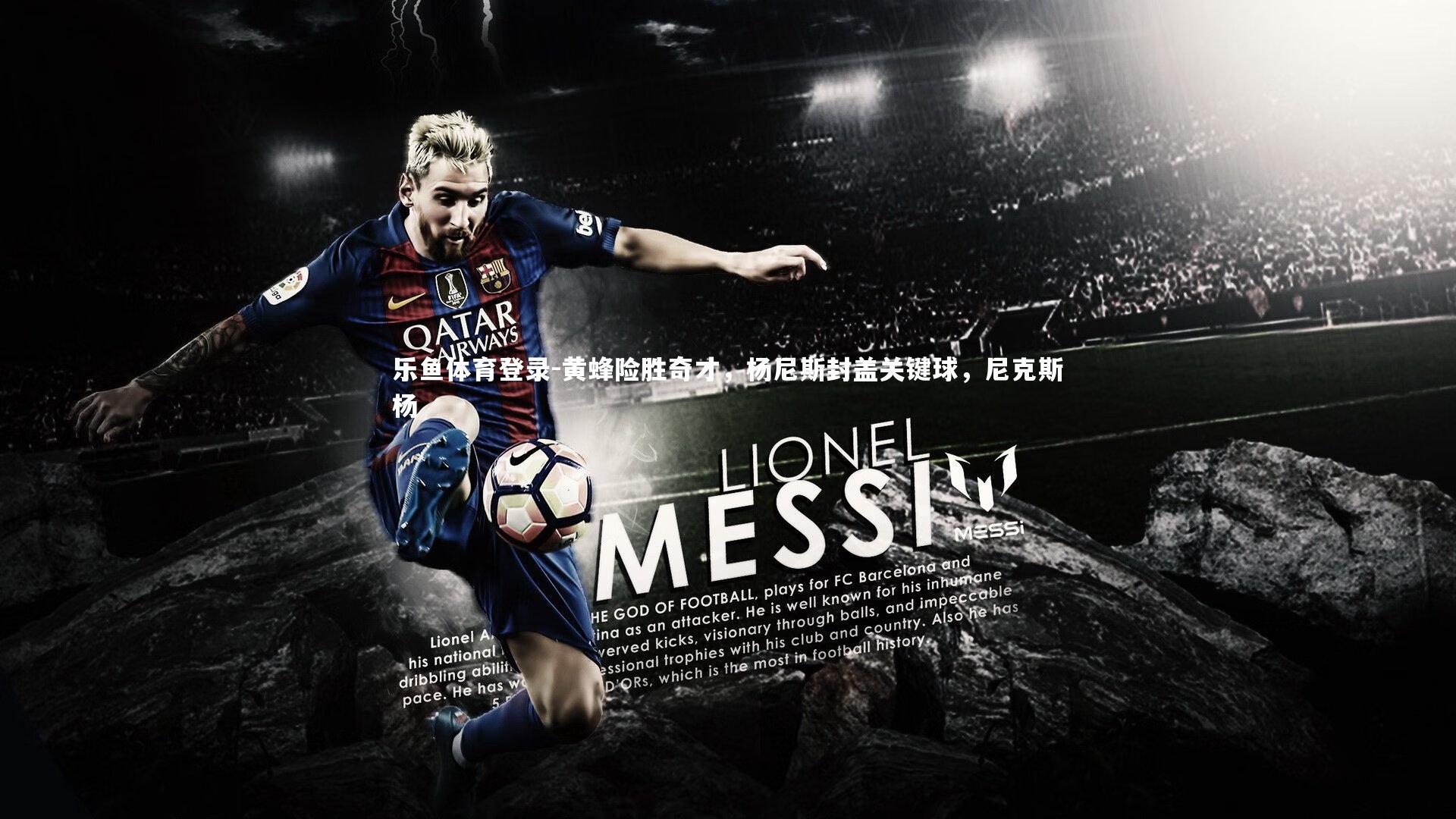 黄蜂险胜奇才,杨尼斯封盖关键球,尼克斯杨