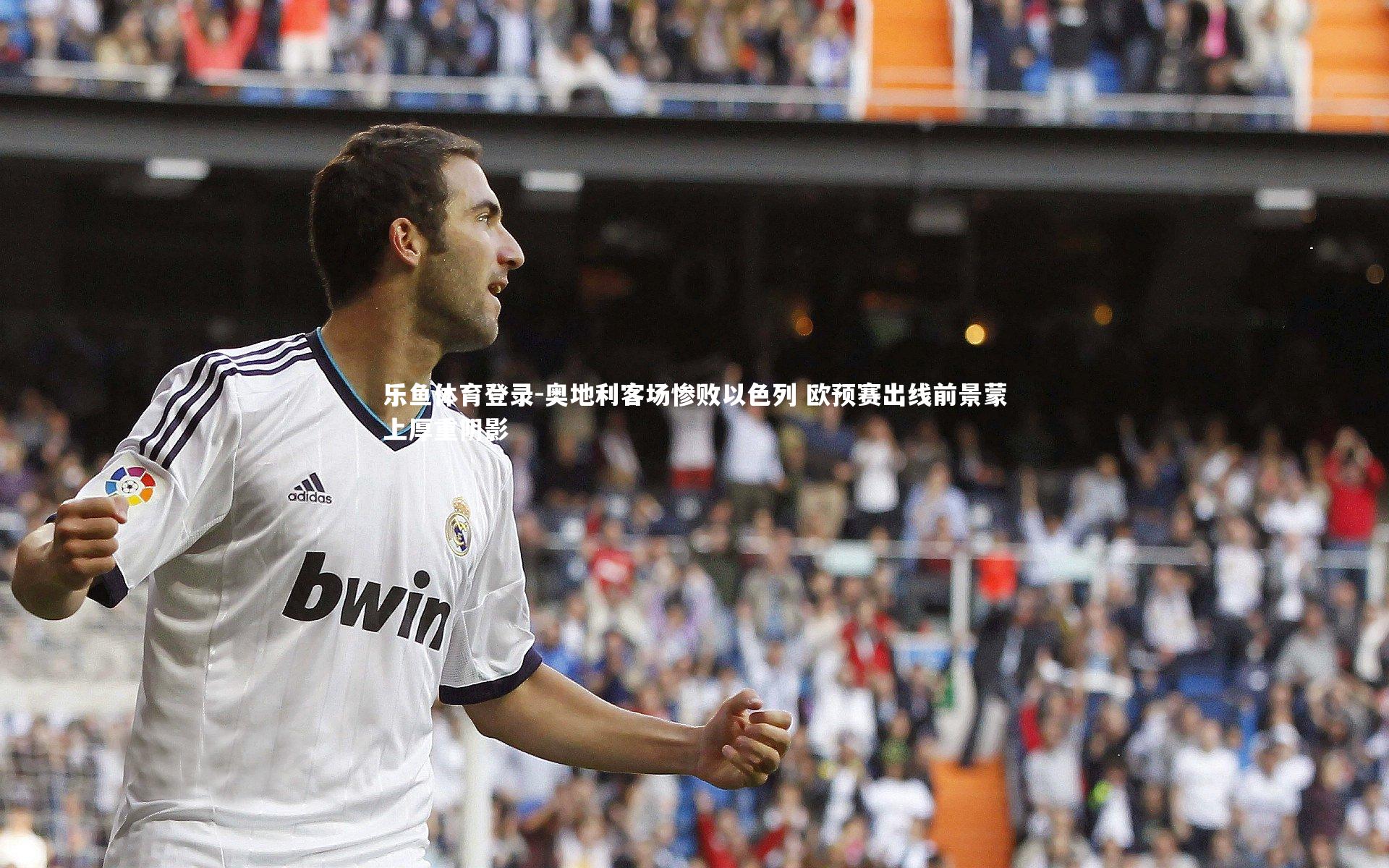 乐鱼体育登录-奥地利客场惨败以色列 欧预赛出线前景蒙上厚重阴影